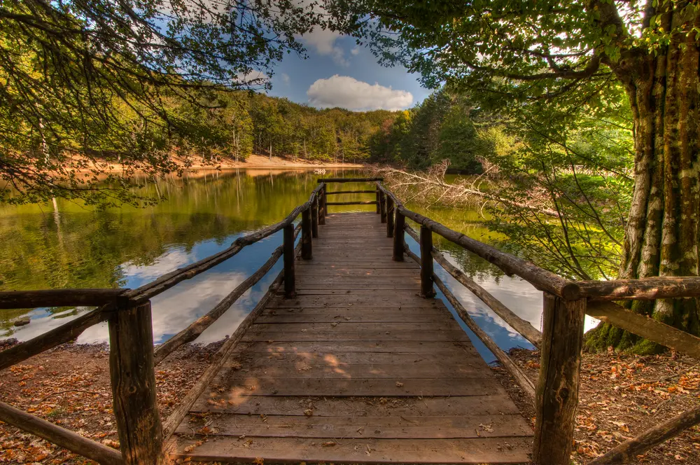 Foresta con lago nel Gargano Puglia