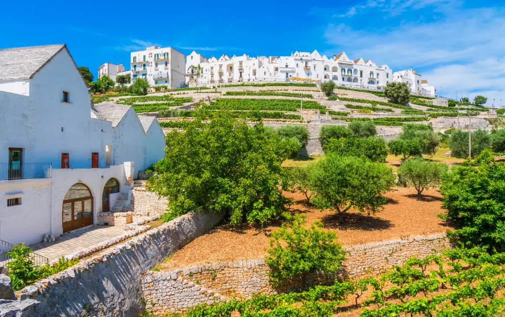 Valle d'Itria Locorotondo Puglia